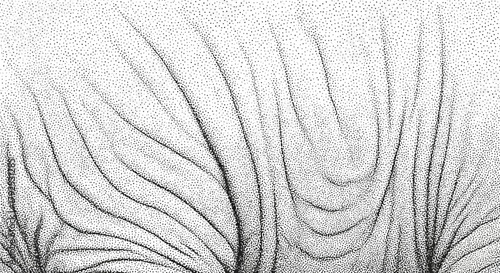 Detailed spectrogram displaying complex acoustic wave patterns and sound frequencies.
