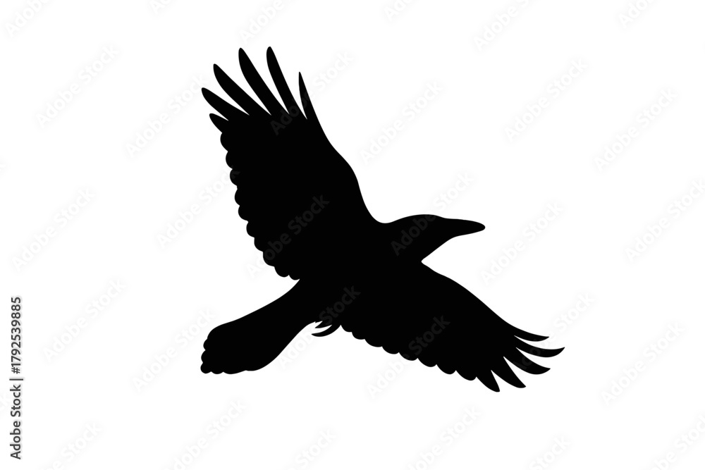 Obraz premium High contrast black silhouette of a large bird flying with wings spread wide