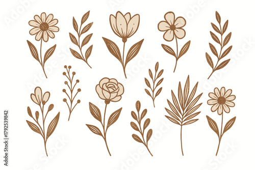 Collection of hand drawn boho floral elements and botanical leaves in earthy tones