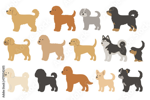 Collection of various domestic dog breeds standing in profile view on white background