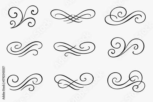Elegant hand drawn calligraphic swirls and decorative flourishes set for design elements