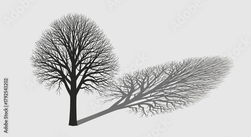 Solitary winter tree casting elongated shadow on neutral backdrop landscape