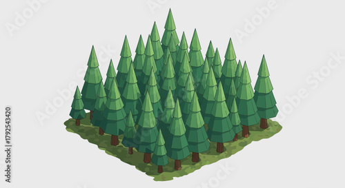 Stylized Pine Tree Forest Isometric Graphic, Dense Evergreen Woodlands