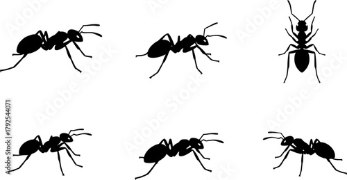 Ants silhouette, Ant clipart, Ants, Ant silhouette set, Ants vector set, Ant crawling silhouette set
