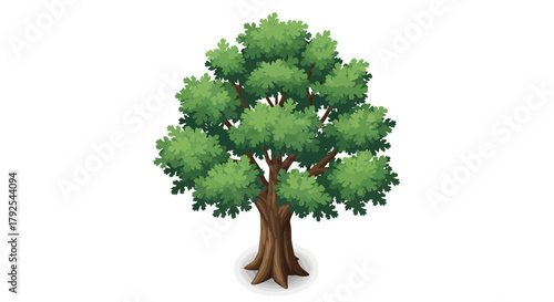 Digital illustration of a lush, green tree on a white background