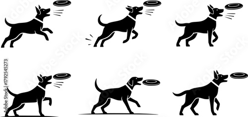 Frisbee dog silhouette, Frisbee dog, Frisbee dog catching silhouette, Jumping frisbee dog, Dog, Jumping dog, Jumping dog silhouette