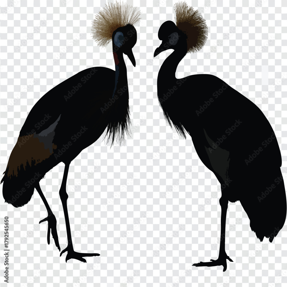 Fototapeta premium Elegant Birds: Two birds stand gracefully, their dark bodies contrasting against the backdrop, showcasing their beauty. Their unique appearance evokes a sense of wonder.