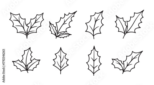 Collection of hand drawn holly leaf illustrations in silhouette style