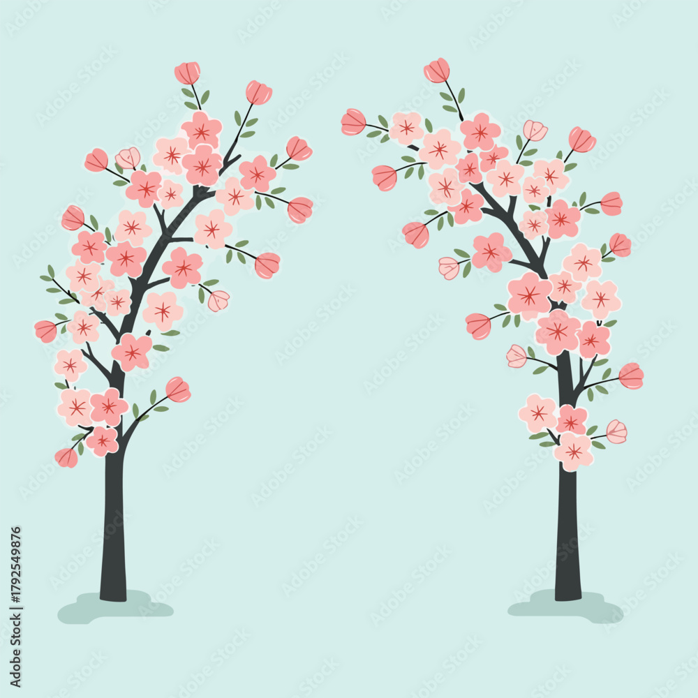 Fototapeta premium Two Cherry Blossom Trees