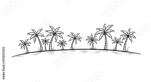Palm tree sketch illustration for design summer vacation concept