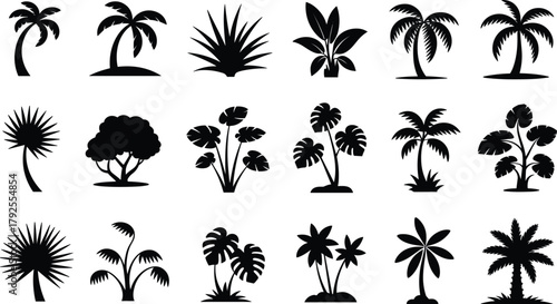 Collection of Black and White Tropical Plant Silhouettes palm tree foliage