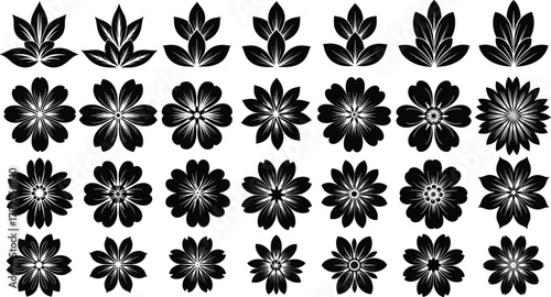 Black and white floral silhouette set showing leaf to flower evolution, petal variations, layered botanical shapes for graphic design use