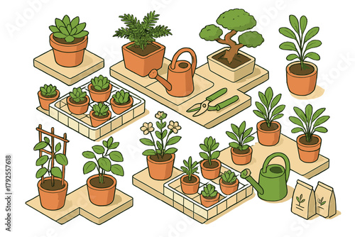 Isometric view of various potted houseplants and gardening supplies arranged on shelves