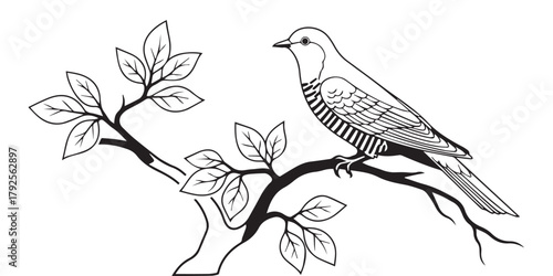 vector illustration of a bird