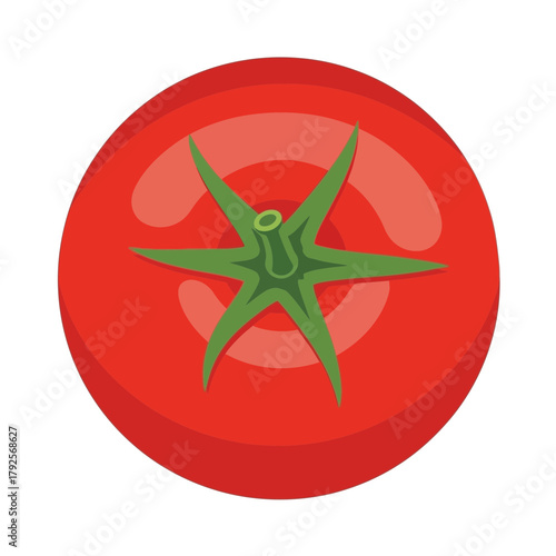 Stylized Tomato Illustration on a White Backdrop with Vibrant Colors