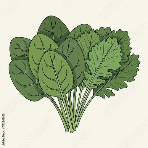 Illustration of Spinach and Kale Verdant Harmony: A Study in Green Textures