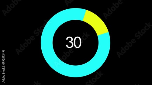 infography circle animation 30 percentage 