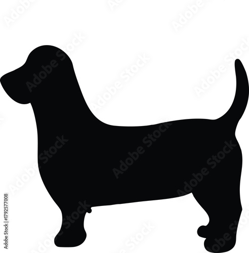 Silhouette of a Dachshund: The silhouette of a dachshund standing elegantly, showcasing the breed's distinct features and iconic short legs. The dark shade against the background.