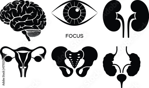 Black silhouette icons of human organs and body systems