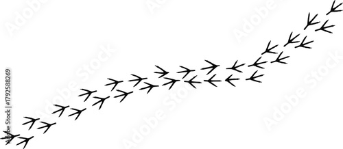 Black silhouette of bird footprints pattern walking across surface, isolated vector illustration for wildlife design, nature background, and animal track artwork