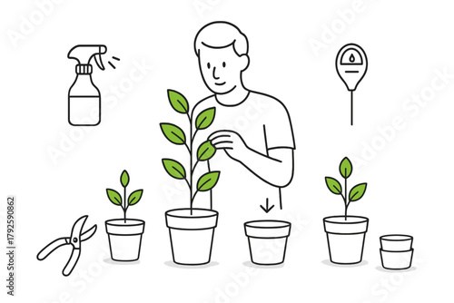 Detailed process of home gardening showing a person repotting a houseplant with essential tools