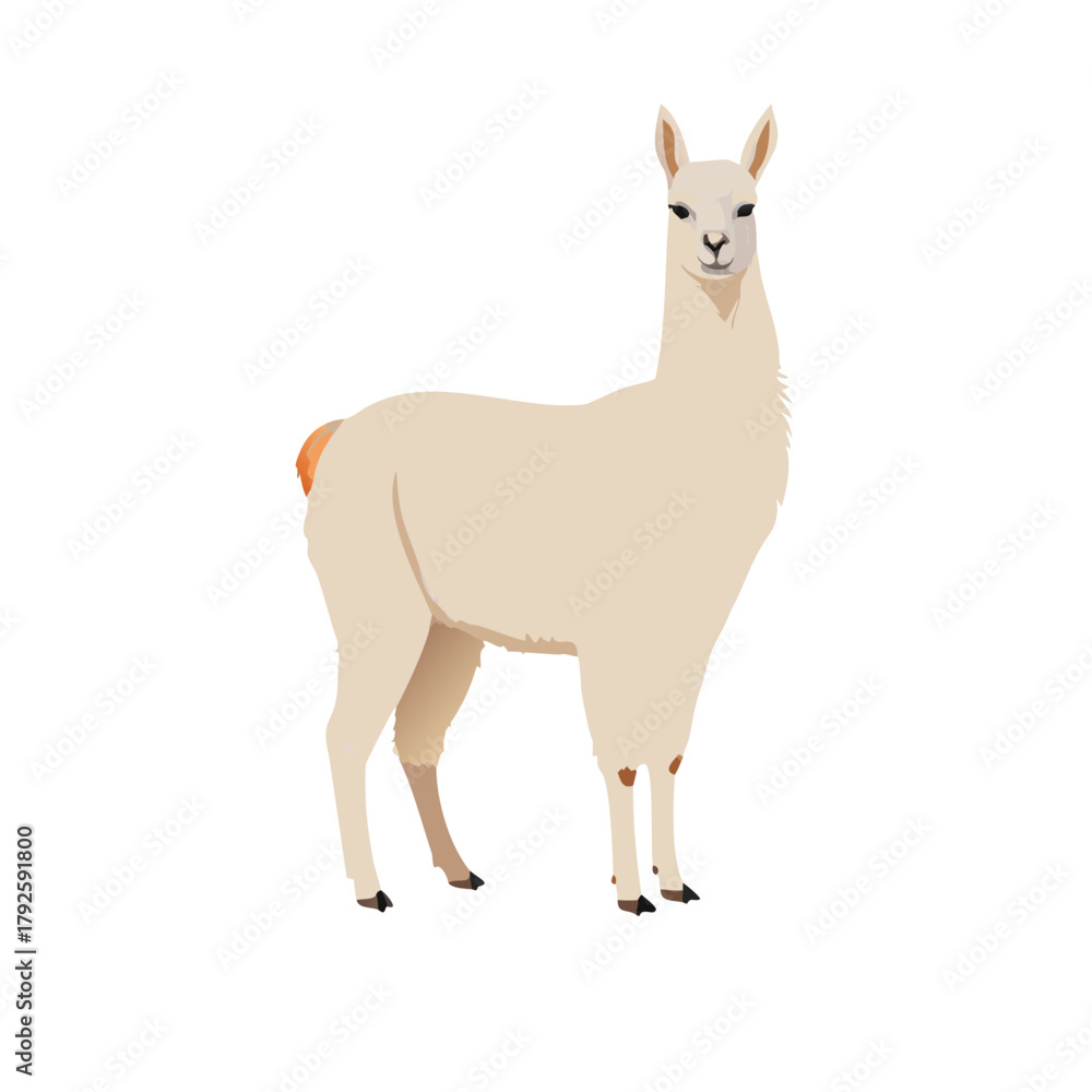 Fototapeta premium Cute cartoon deer mammal drawing vector illustration silhouette standing on a white background