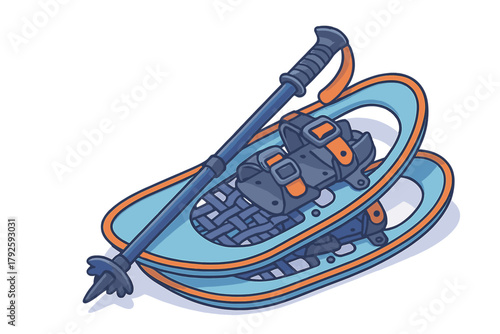 Pair of modern snowshoes and trekking pole for winter hiking equipment