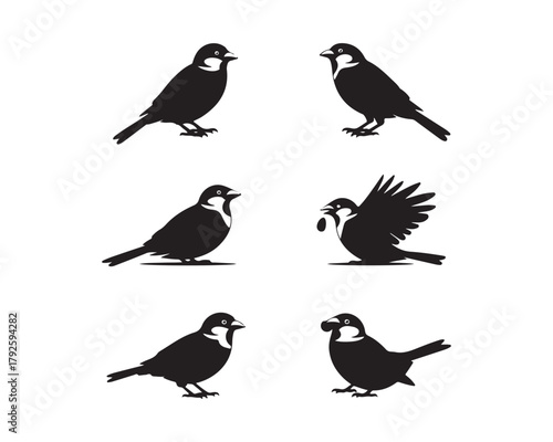 Wallpaper Mural sparrow silhouette, sparrow vector, sparrow collection, sparrow set, bird silhouette, small bird vector, flying sparrow, perched sparrow, songbird vector, forest bird vector, cute bird design, minimal Torontodigital.ca