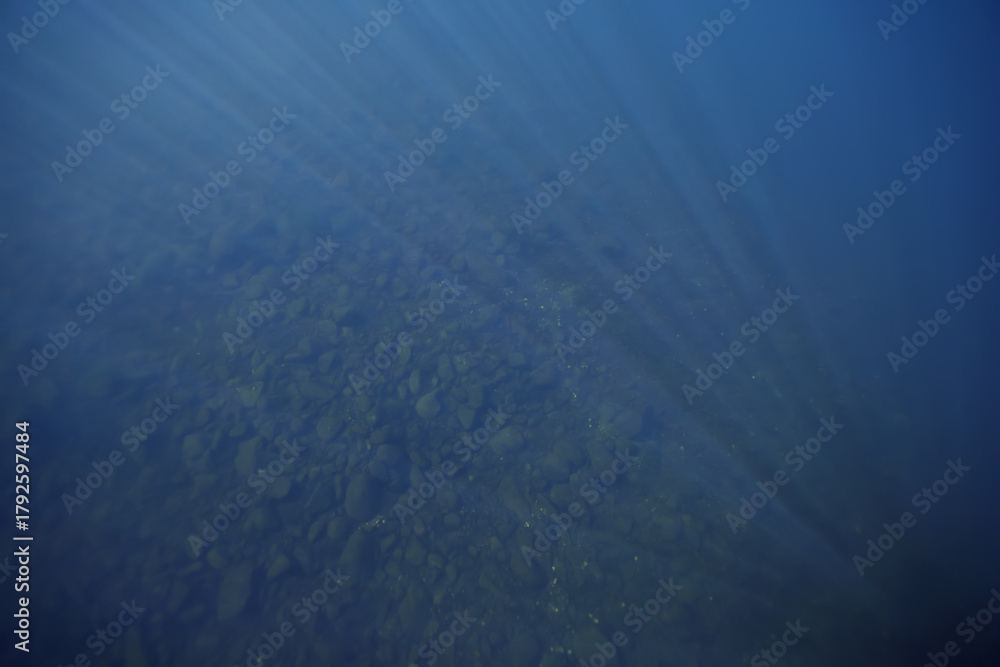Fototapeta premium Underwater photography freshwater, lake ecosystem