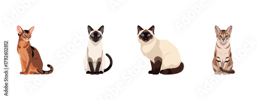 Cartoon illustrations of various cat breeds in sitting poses