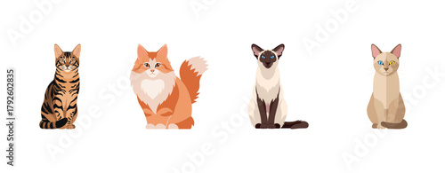 Illustration of four distinct cat breeds on white background