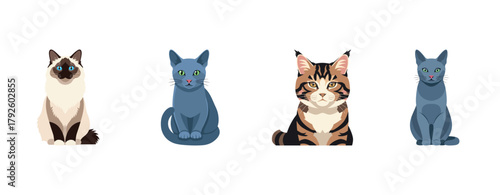 Illustration of four cats: siamese, blue russian, tabby, and british shorthair breeds