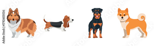 Illustrated dog breeds featuring collie basset rottweiler shiba inu