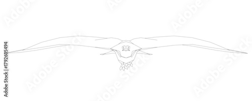 Hawk with spread wings in a simple contour drawing, resembling a hawk in flight.