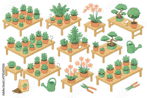 Isometric collection of potted succulents, small trees, flowering orchids, and gardening tools on wooden display tables
