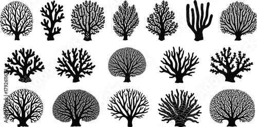 Coral reef silhouette vector illustration collection, underwater marine plant and seaweed design set, ocean nature elements for aquatic, tropical, and environmental artwork projects