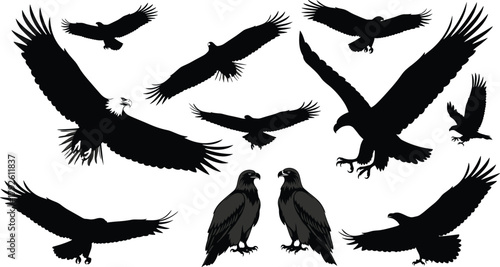 Eagle silhouette vector illustration set with flying and perched birds, majestic raptor design collection for wildlife, nature, freedom, and bird art projects