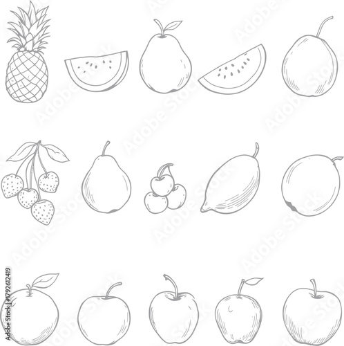 Hand Drawn Fruit Vector Sketch Set Pineapple Pear Apple Cherry Food Botanical Illustration