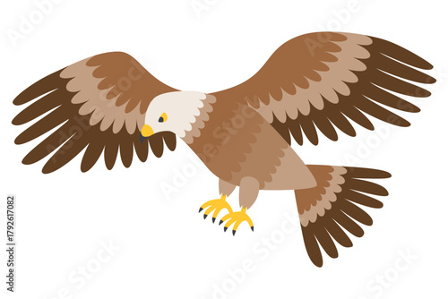 鷹、タカ、鷲、ワシ　イラスト素材