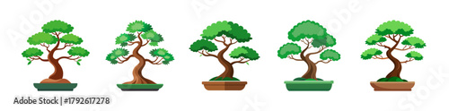 Collection of five stylized cartoon bonsai trees in pots, vector illustration set