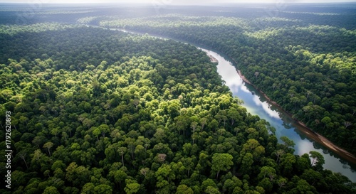 Aerial view of the Amazon rainforest with a river flowing through the lush green canopy,