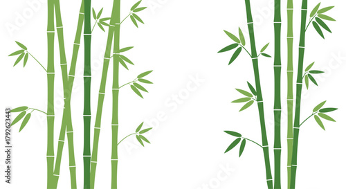 Serene green bamboo stalks with delicate leaves create a tranquil natural backdrop for peaceful design projects