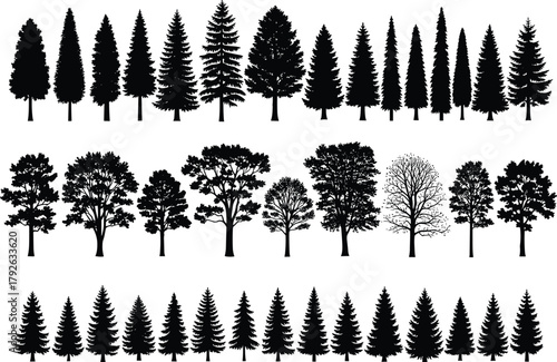 Tree silhouettes, coniferous icons, deciduous shapes, forest vector, black design, foliage pattern, seasonal trees, nature graphic, botanical set, landscape element