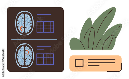 Brain scans on medical display showing detailed structures, simple plant element, and name label. Ideal for healthcare, diagnostics, neurology, radiology, research, education and minimal flat