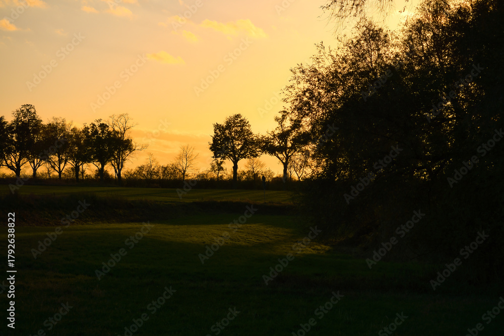 Fototapeta premium Tree silhouettes against a golden sunset over a green field, Brandenburg.