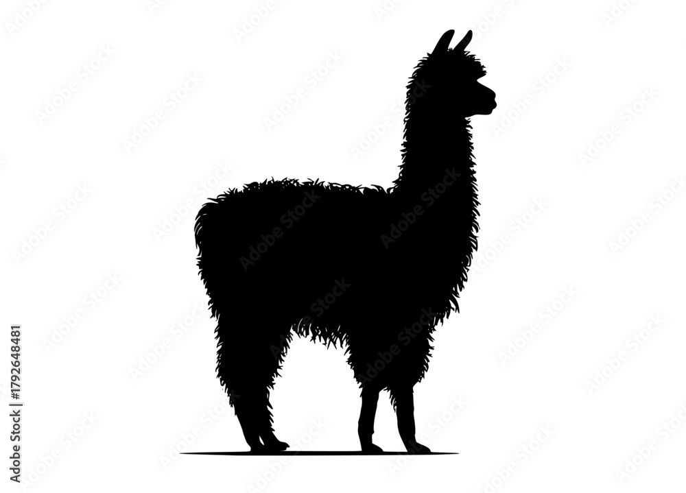 Naklejka premium a silhouette of a llama on a plain transparent backgroundalpaca, animal, black, camel, profile, stand 