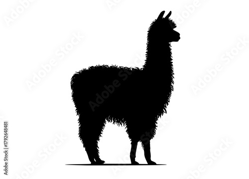 a silhouette of a llama on a plain transparent backgroundalpaca, animal, black, camel, profile, stand 