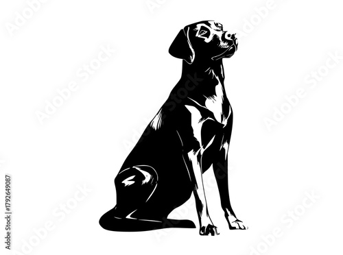 a black and white silhouette of a dog sitting on a transparent backgroundblack, dog, illustration, image, laboratory, labrador, pointer, profile, sit, white 