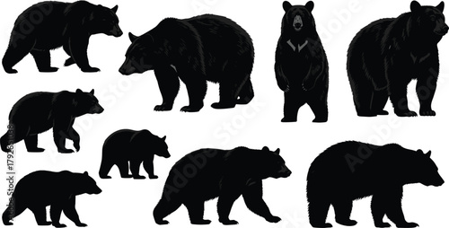 Bear silhouettes in varied poses and orientations, wildlife vector set for forest animal design, nature themes, and educational illustration use.