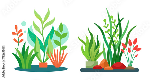 Vibrant aquarium plants lush green and red underwater flora collection